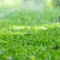 How to Keep Your Sprinkler System in Tip-Top Shape