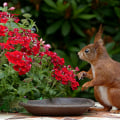 The Role Of Professional Wildlife Removal In Lawn Sprinkler Systems Maintenance In Franklin, TN