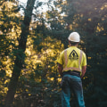 The Perfect Pair: How Tree Service In Phoenix And Lawn Sprinkler Systems Work Together For A Lush Landscape