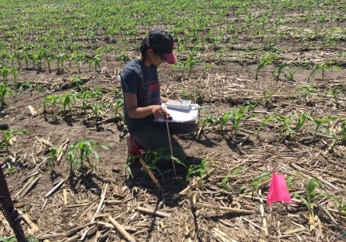 What is the Best Soil Moisture Sensor for Lawn Sprinkler Systems?