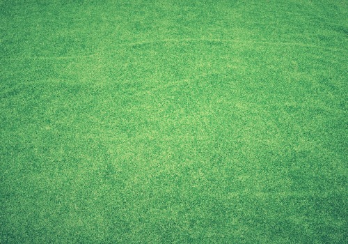 Enhancing Your Fleming Island Lawn: How Local Sod Contractors Can Work with Lawn Sprinkler Systems