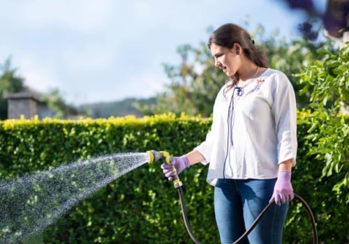 Which Watering Method is Best for Your Lawn: Hose or Sprinkler System?
