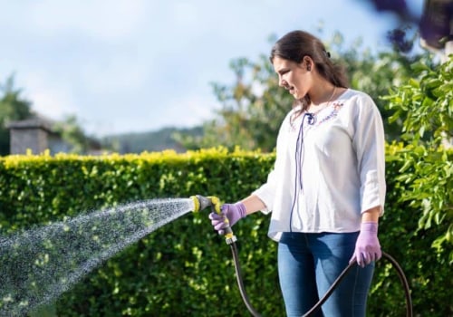 Which Watering Method is Best for Your Lawn: Hose or Sprinkler System?