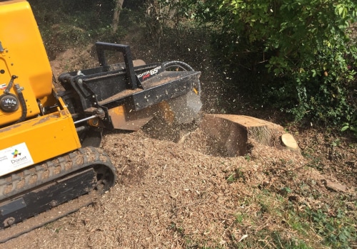 Prepare Your Lawn for Sprinklers with Stump Grinding