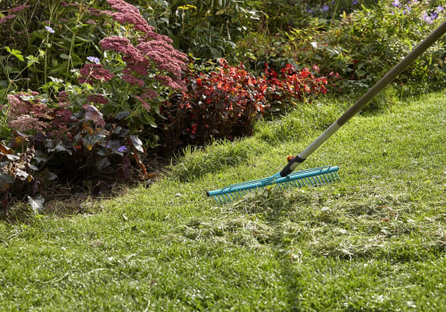 The Microclimate Effect: Why One Lawn Needs 3 Watering Strategies
