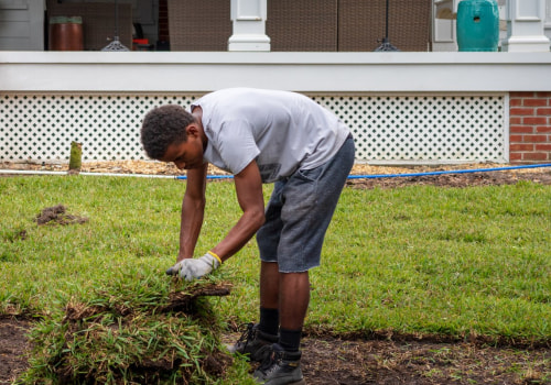 Does Installing a Sprinkler System Ruin Your Yard? - A Guide for Homeowners