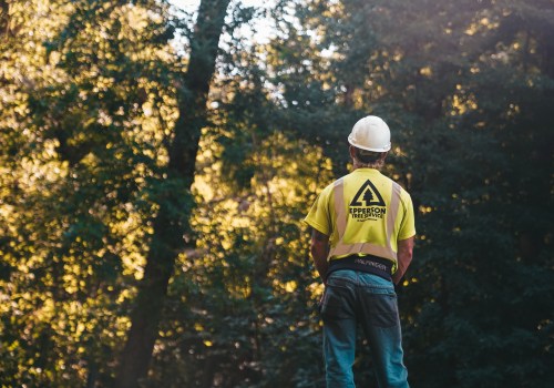 The Perfect Pair: How Tree Service In Phoenix And Lawn Sprinkler Systems Work Together For A Lush Landscape